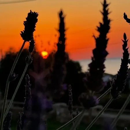 Apartament Viento Boutique