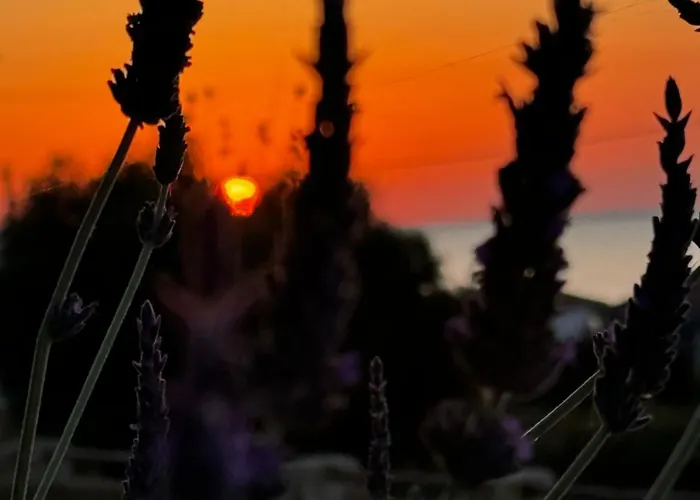 Apartment Viento Boutique